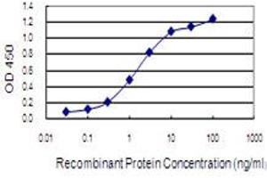 Detection limit for recombinant GST tagged DHX38 is 0. (DHX38 抗体  (AA 342-450))