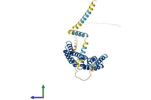 Protein Structure (PS) image for Peroxisomal Biogenesis Factor 26 (PEX26) (AA 1-305) protein (His tag) (ABIN7550655)