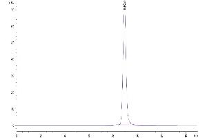The purity of Mouse GPA34/VSIG1 is greater than 95 % as determined by SEC-HPLC.