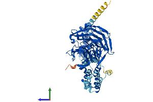 Protein Structure (PS) image for Kelch-Like 7 (KLHL7) (AA 1-586) protein (His tag) (ABIN7548827)