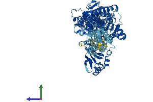 Protein Structure (PS) image for ATPase, Ca++ Transporting, Cardiac Muscle, Fast Twitch 1 (ATP2A1) (AA 1-994) protein (His tag) (ABIN7564706)