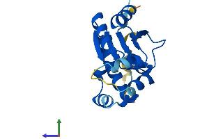 Protein Structure (PS) image for IdnK Gluconokinase Homolog (IDNK) (AA 1-184) protein (His tag) (ABIN7559633)
