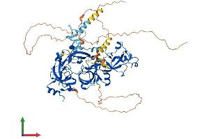 AlphaFold protein structure predicition of Mouse Recombinant L3mbtl2 Protein, UniprotID P59178