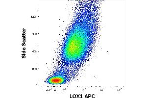 Flow cytometry surface staining pattern of human stimulated (GM-CSF + IL-4) peripheral blood mononuclear cells stained using anti-LOX1 (15C4) APC antibody (10 μL reagent / 100 μL of peripheral whole blood). (OLR1 抗体  (APC))