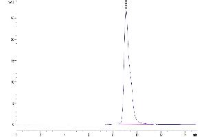 The purity of Mouse LAIR1 is greater than 95 % as determined by SEC-HPLC.