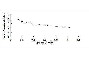 Typical standard curve (MSH alpha ELISA 试剂盒)