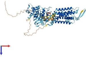 ABCG8 Protein (AA 1-673) (His tag)