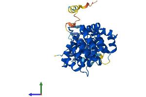 Protein Structure (PS) image for Annexin A9 (ANXA9) (AA 1-345) protein (His tag) (ABIN7552292)