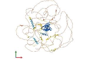 Protein Structure (PS) image for Synaptopodin 2 (SYNPO2) (AA 1-1093) protein (His tag) (ABIN7555679)