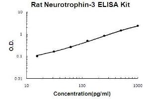 Rat Neurotrophin-3 PicoKine ELISA Kit standard curve