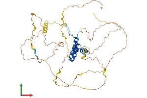 Protein Structure (PS) image for SRY (Sex Determining Region Y)-Box 3 (SOX3) (AA 1-446) protein (His tag) (ABIN7555562)
