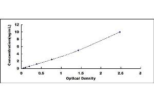 Typical standard curve (HSP90AB1 ELISA 试剂盒)
