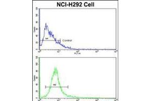 Flow cytometric analysis of NCI-H292 cells using EEF1A1/ EEF1A2 Antibody (N-term)(bottom histogram) compared to a negative control cell (top histogram).