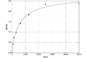 A typical standard curve (CCL21 ELISA 试剂盒)