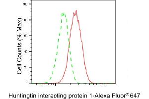 anti-Huntingtin Interacting Protein 1 (HIP1) antibody