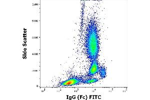 Flow cytometry surface staining pattern of human peripheral whole blood stained using anti-human IgG (Fc) (EM-07) FITC antibody (3 μL reagent / 100 μL of peripheral whole blood). (小鼠 anti-人 IgG Fc (Fc Region) Antibody (FITC))