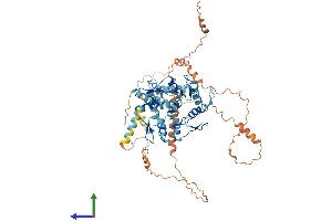 Protein Structure (PS) image for Zinc Finger Protein 192 (ZNF192) (AA 1-578) protein (His tag) (ABIN7545635)