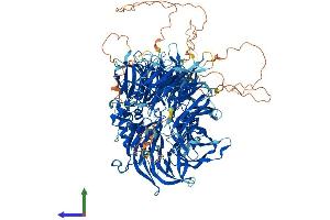 Protein Structure (PS) image for Cleavage and Polyadenylation Specific Factor 1, 160kDa (CPSF1) (AA 1-1441) protein (His tag) (ABIN7565028)