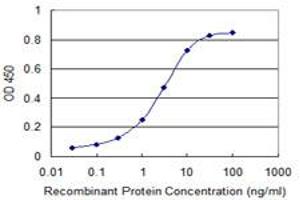 Detection limit for recombinant GST tagged UBE2S is 0. (UBE2S 抗体  (AA 1-222))