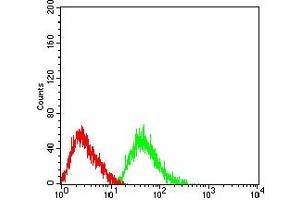 Flow cytometric analysis of HL-60 cells using CD125 mouse mAb (green) and negative control (red). (IL5RA 抗体  (AA 21-196))