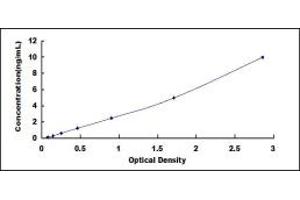 Typical standard curve (MYH1 ELISA 试剂盒)