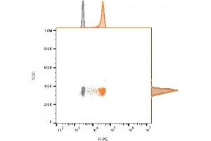 Flow cytometry of bead-bound exosomes derived from MCF-7 cells.