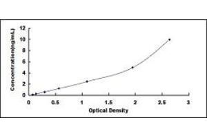 Typical standard curve (ALOX5 ELISA 试剂盒)