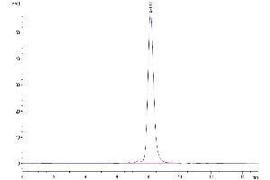 Size-exclusion chromatography-High Pressure Liquid Chromatography (SEC-HPLC) image for Interleukin 1 Receptor-Like 1 (IL1RL1) (AA 19-328) protein (His tag) (ABIN7275675)