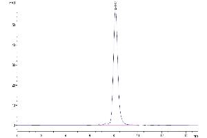 The purity of Human IL-1RL1 is greater than 95 % as determined by SEC-HPLC. (IL1RL1 Protein (AA 19-328) (His tag))