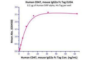 Immobilized Human SIRP alpha (HPLC-verified), His Tag (Cat# SIA-H5225) at 2 μg/mL (100 μL/well) can bind Human CD47, mouse IgG2a Fc Tag, low endotoxin  with a linear range of 0.