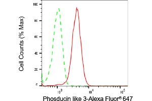 Flow cytometric analysis of Phosducin like 3 expression in HeLa cells using Phosducin like 3 antibody (ABIN7799787), 1:1,000). (PDCL3 抗体)