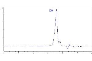 High Pressure Liquid Chromatography (HPLC) image for Tumor Necrosis Factor Receptor Superfamily, Member 17 (TNFRSF17) (AA 1-54) (Active) protein (His tag) (ABIN4949075)