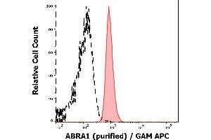 Separation of MOLT-4 cells stained using anti-ABRA1 (ABRA1-01) purified antibody (concentration in sample 9 μg/mL, GAM APC, red-filled) from MOLT-4 cells unstained by primary antibody (GAM APC, black-dashed) in flow cytometry analysis (intracellular staining).