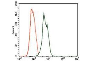 Flow cytometric analysis of MCF-7 cells using RAB4A mouse mAb (green) and negative control (red). (Rab4 抗体)