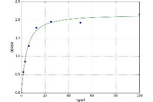 Fibrillarin (FBL) ELISA Kit