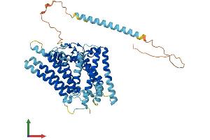 AlphaFold protein structure predicition of Human Recombinant SOAT2 Protein, UniprotID O75908