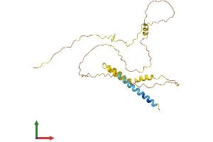 AlphaFold protein structure predicition of Human Recombinant SYNDIG1 Protein, UniprotID Q9H7V2 (SYNDIG1 Protein (AA 1-258) (His tag))