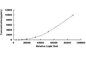 ELISA image for Myeloperoxidase (MPO) CLIA Kit (ABIN492079)