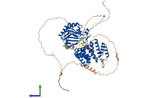 Protein Structure (PS) image for Aspartate beta-Hydroxylase (ASPH) (AA 1-758) protein (His tag) (ABIN7552418)