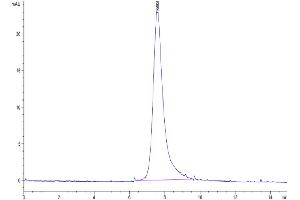 The purity of Biotinylated Human LILRA2 is greater than 95 % as determined by SEC-HPLC. (LILRA2 Protein (AA 24-449) (His-Avi Tag,Biotin))