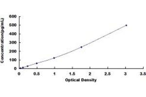 Typical standard curve (FGF10 ELISA 试剂盒)