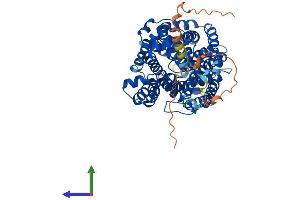 AlphaFold protein structure predicition of Human Recombinant SLC6A8 Protein, UniprotID P48029 (SLC6A8 Protein (AA 1-635) (His tag))