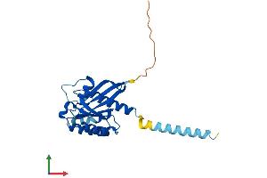 Protein Structure (PS) image for Ras-Like Without CAAX 2 (RIT2) (AA 1-217) protein (His tag) (ABIN7551359)
