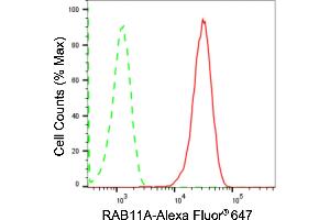 Flow cytometric analysis of RAB11A expression in HAP-1 cells using RAB11A antibody (ABIN7800089), 1:2,000). (Recombinant RAB11A 抗体)