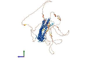 Protein Structure (PS) image for Amphiphysin (AMPH) (AA 1-686) protein (His tag) (ABIN7558272)