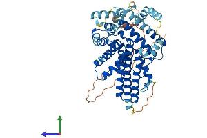 Protein Structure (PS) image for Diacylglycerol O-Acyltransferase 1 (DGAT1) (AA 1-498) protein (His tag) (ABIN7556415)