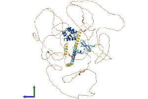 Protein Structure (PS) image for Polyhomeotic Homolog 2 (Drosophila) (PhC2) (AA 1-850) protein (His tag) (ABIN7565135)
