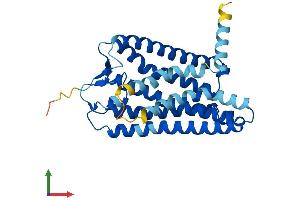AlphaFold protein structure predicition of Human Recombinant OR5G3 Protein, UniprotID P0C626 (OR5G3 Protein (AA 1-314) (His tag))