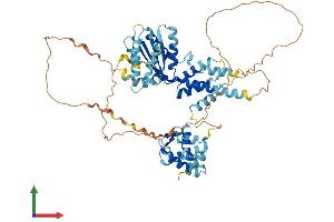Protein Structure (PS) image for Cell Division Cycle 6 Homolog (S. Cerevisiae) (CDC6) (AA 1-560) protein (His tag) (ABIN7553335)