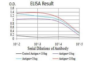 Fig. (Histone Cluster 2, H4a (HIST2H4A) 抗体)